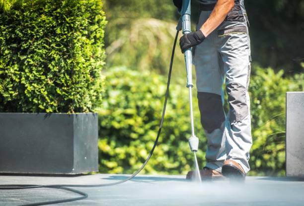 Best Solar Panel Cleaning  in Ellington, MO